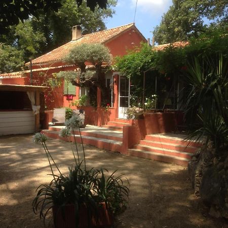 La Meissonniere Saint-Tropez Eksteriør bilde